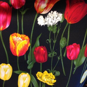 Tulipes