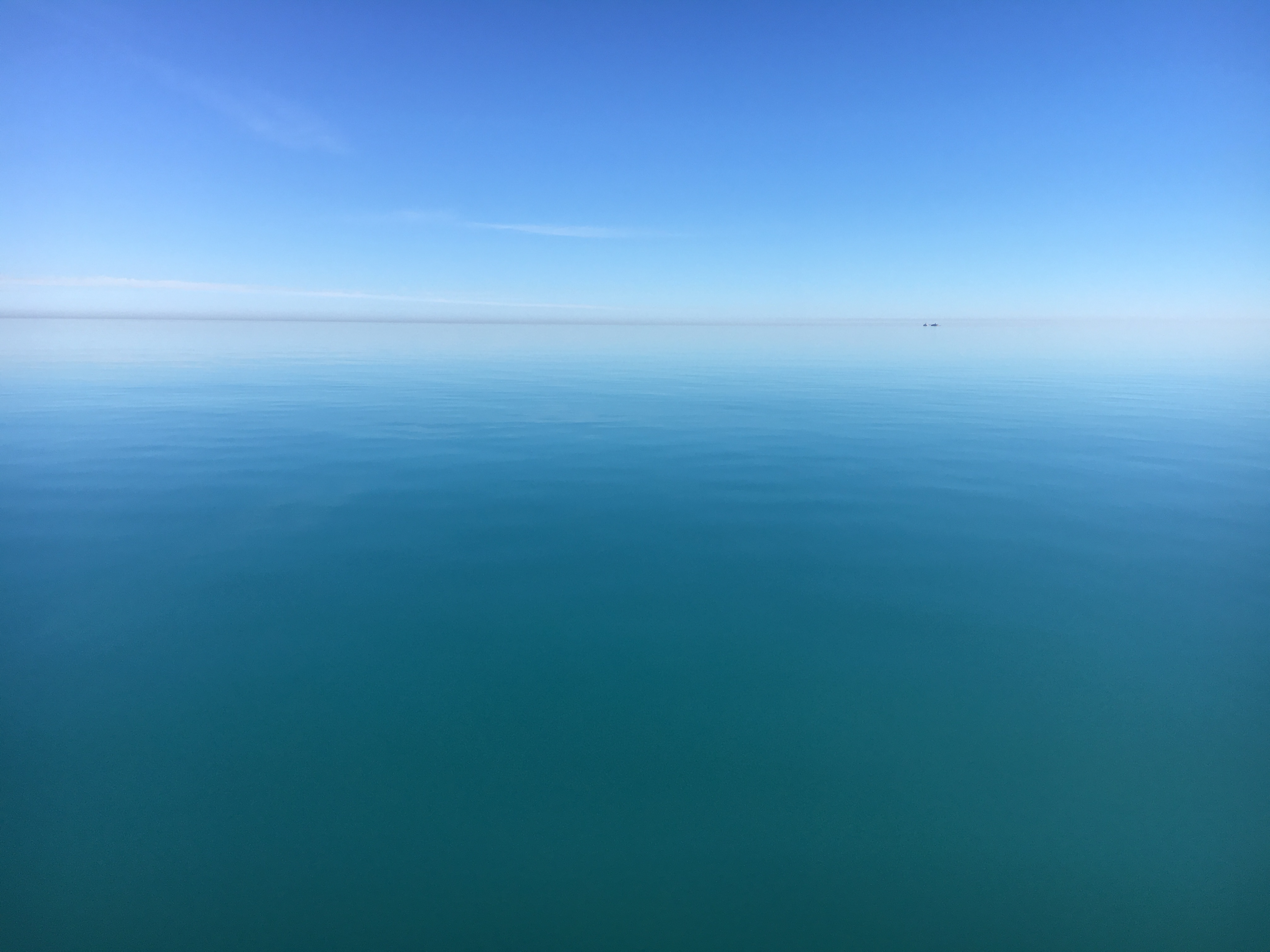 Chicago le 19 février 2017 -2.jpg