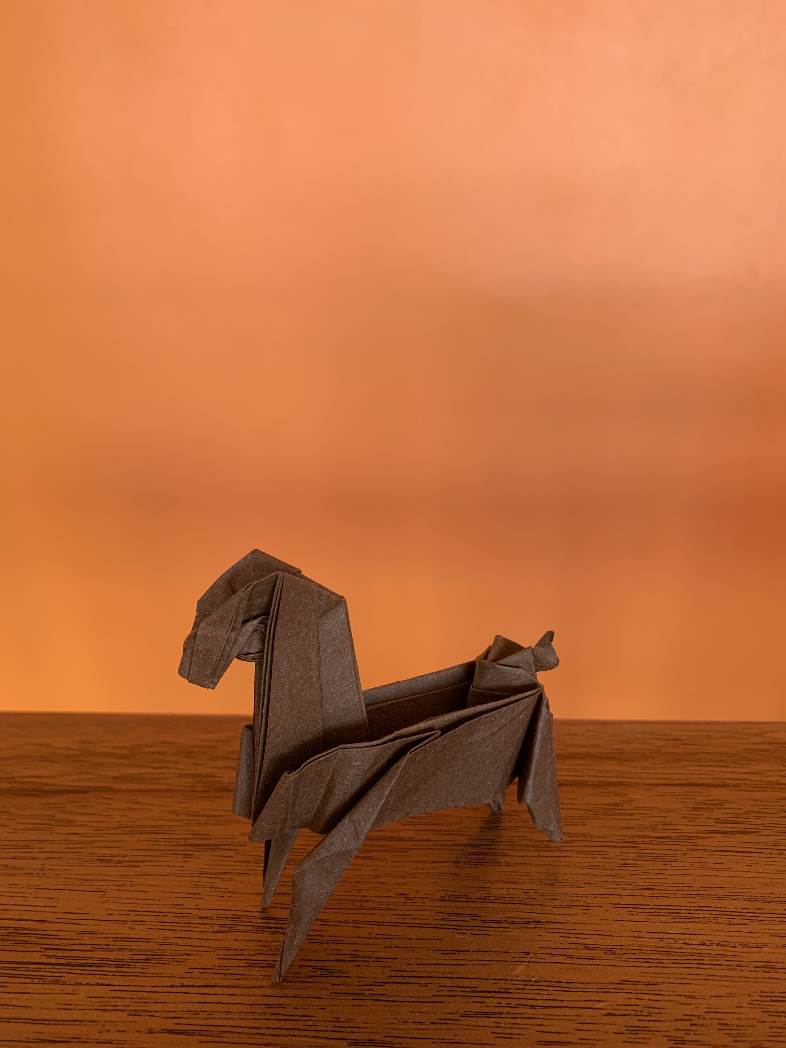 Cheval et mur orange