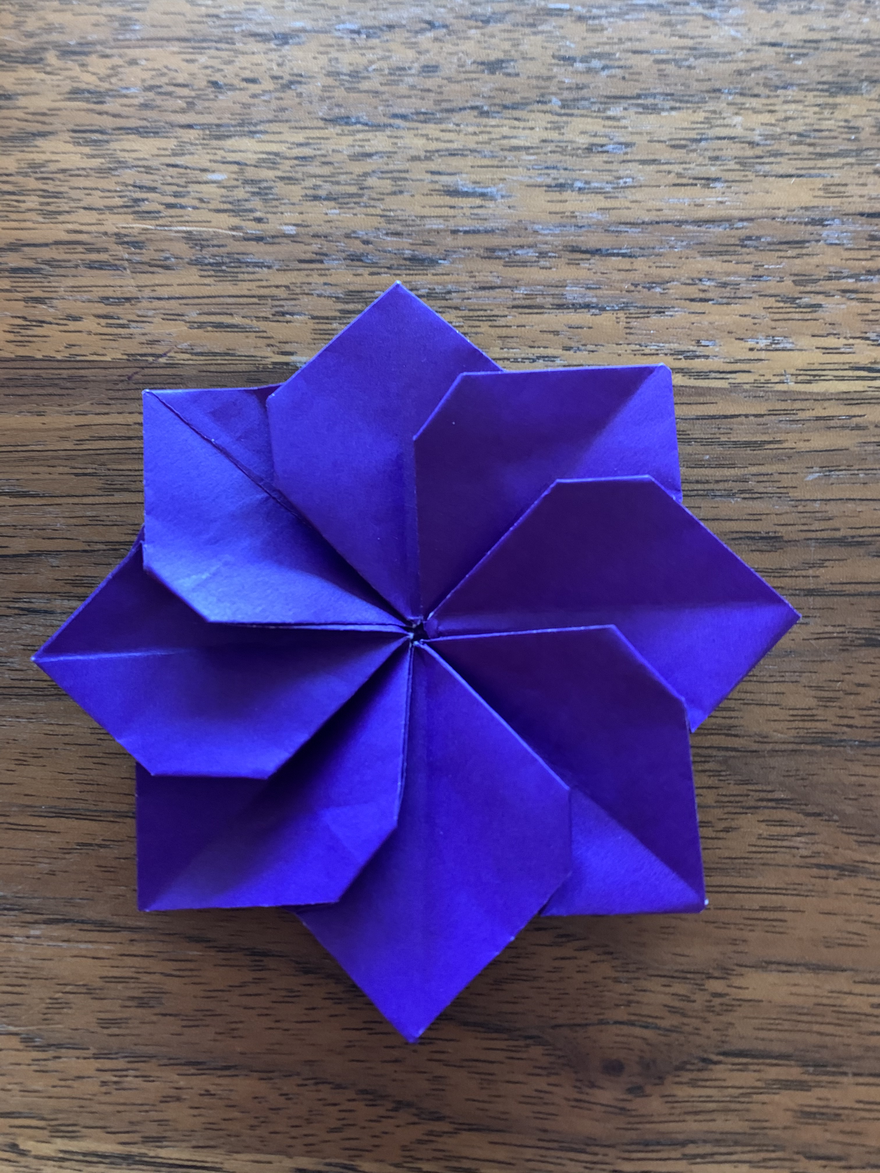 Fleur plate violette