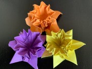 Jonquilles violettes jaunes et oranges