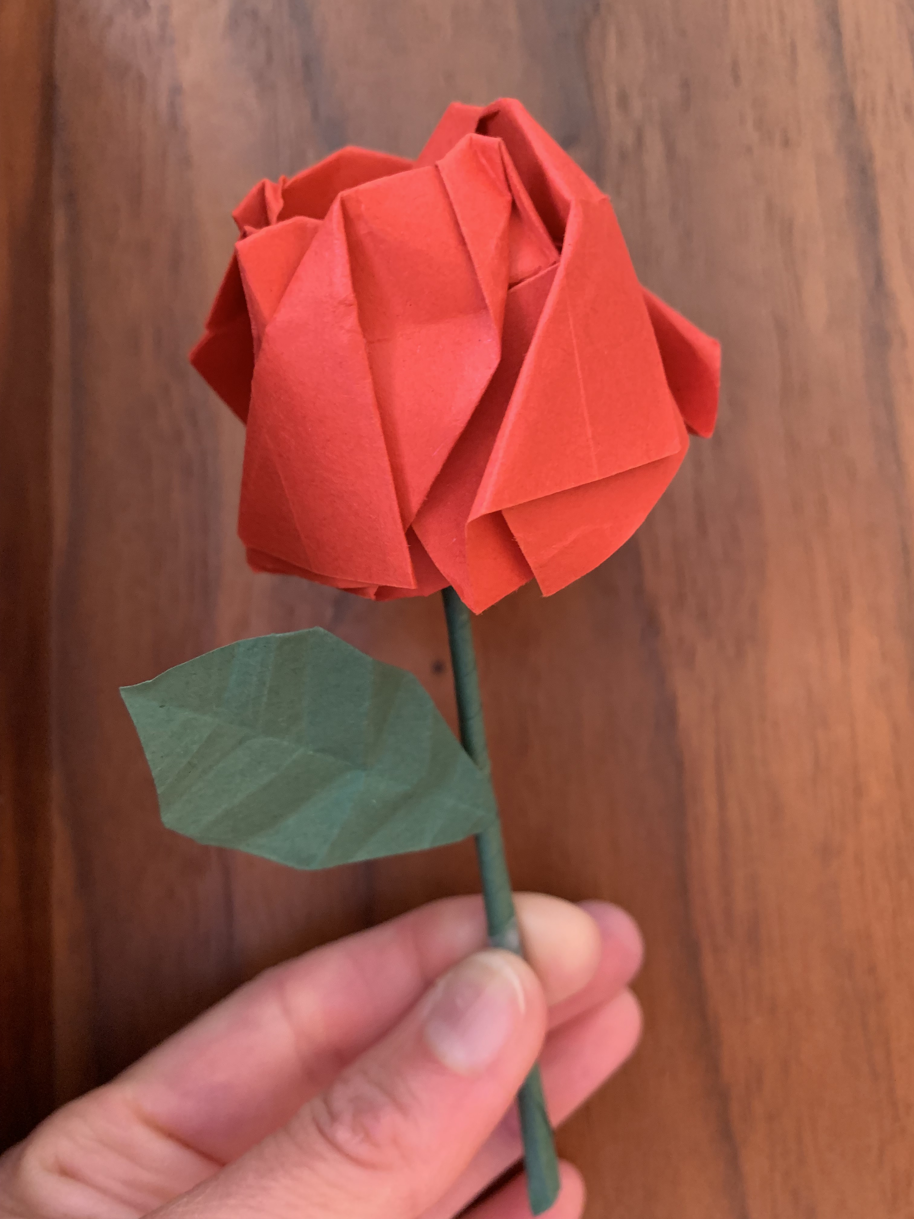 Rose en bouton rouge sur tige