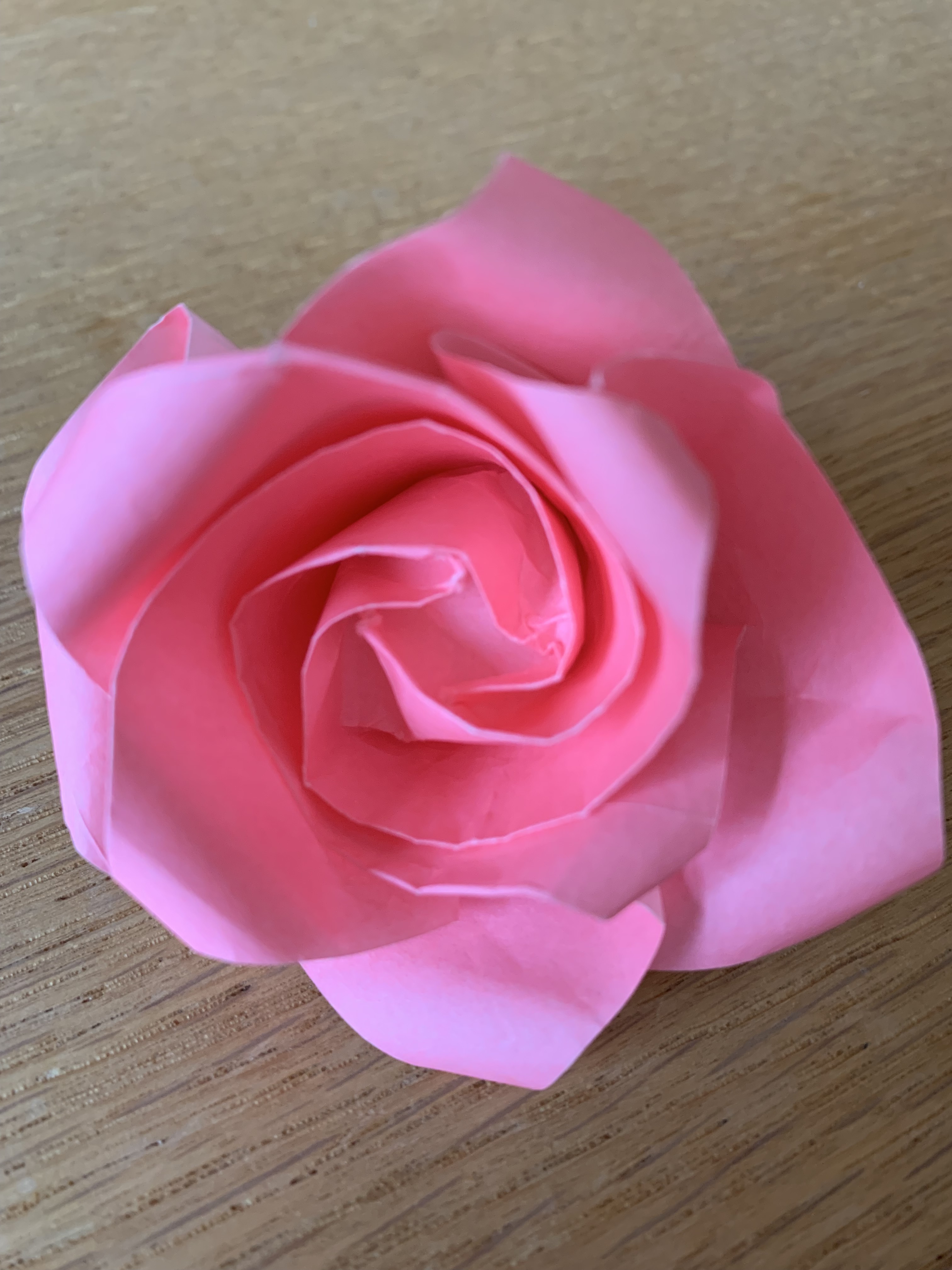 Rose rose sur fond bois clair